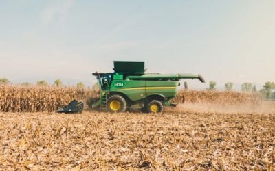 What Life On The Farm Looks Like
