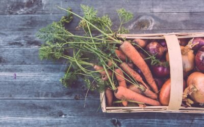 How To Store Your Food At Winter?